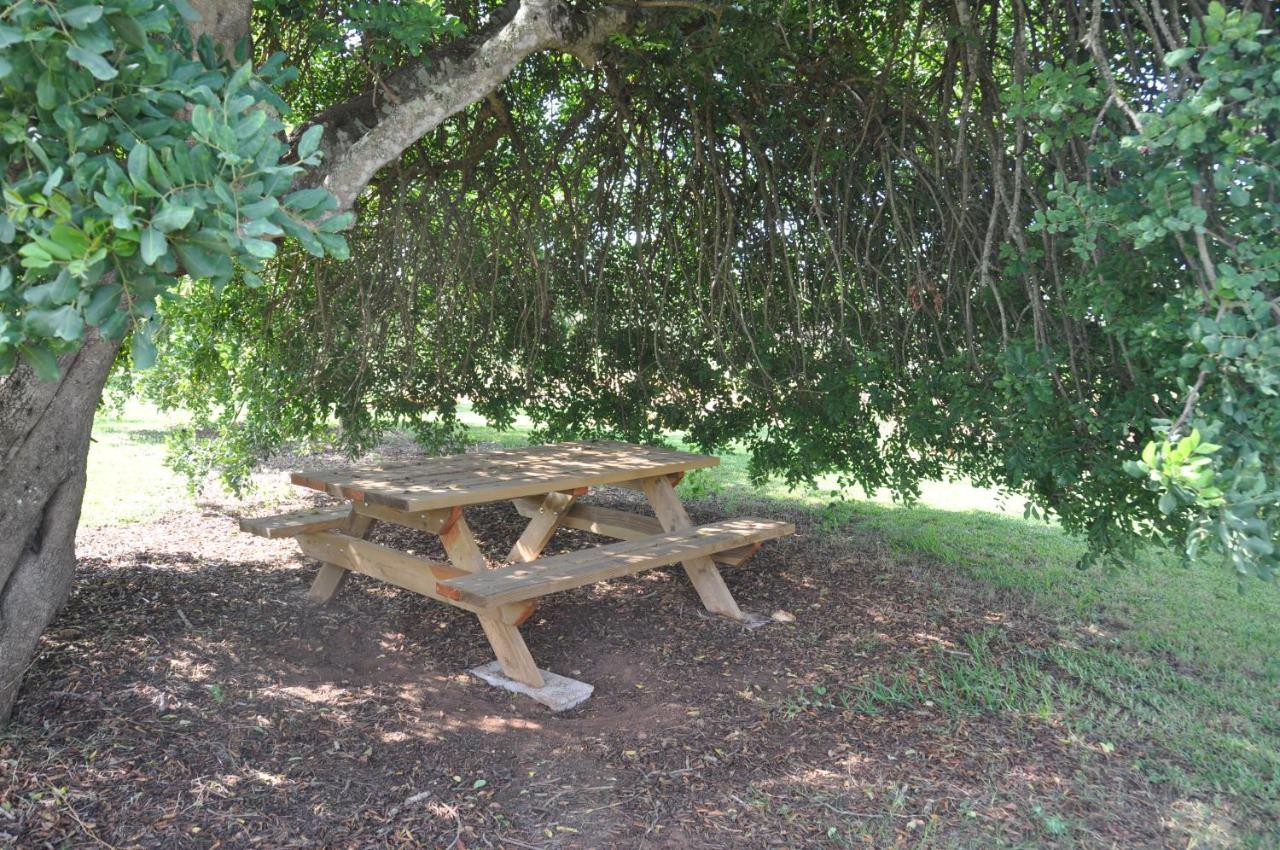 Séjour à la ferme Porreti Lloret de Vistalegre